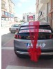 Araba Süsleme 6